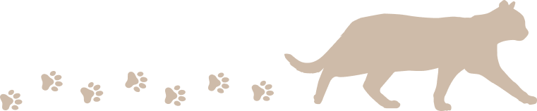 猫ののイラスト