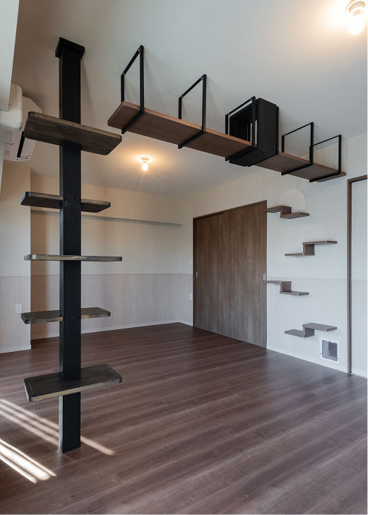 猫と暮らす住まいの施工例