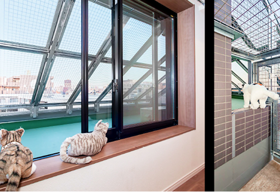 金巻とも子氏インタビュー風景