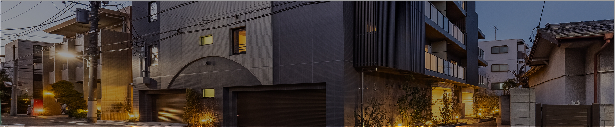 猫がくつろぐ様子