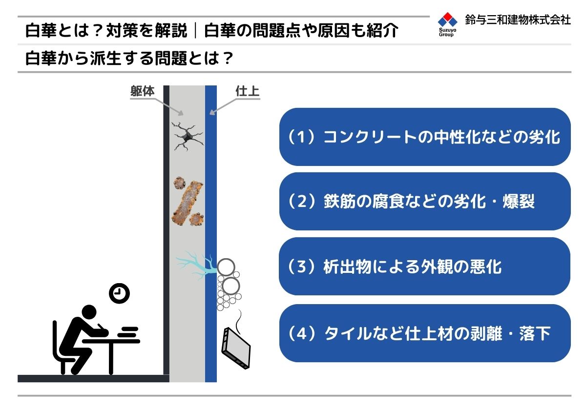 白華（エフロレッセンス）によって発生する問題点の図解